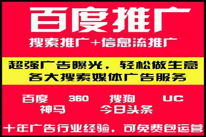 SEM服务案例：打造行业领先品牌